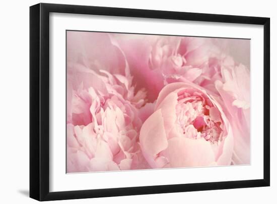 Closeup of Peony Flowers-Sandralise-Framed Photographic Print