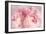 Closeup of Peony Flowers-Sandralise-Framed Photographic Print