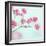 Closeup of Pink Baby's Breath Flowers-Anna-Mari West-Framed Photographic Print