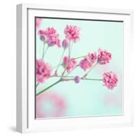 Closeup of Pink Baby's Breath Flowers-Anna-Mari West-Framed Photographic Print