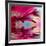 Closeup Of Pink Daisy-Gerbera With Soft Focus Reflected In The Water-silver-john-Framed Art Print