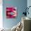 Closeup Of Pink Daisy-Gerbera With Soft Focus Reflected In The Water-silver-john-Stretched Canvas displayed on a wall