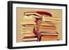 Closeup of Some Piles of Books on a Chair, with a Retro Effect-nito-Framed Photographic Print