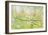 Closeup of Stalks on Organic Asparagus Plant-Lars Hallstrom-Framed Photographic Print