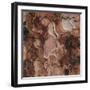 Closeup of Tree Bark-Micha Pawlitzki-Framed Photographic Print