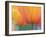 Closeup of Tulip.-Julianne Eggers-Framed Premium Photographic Print