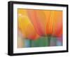 Closeup of Tulip.-Julianne Eggers-Framed Premium Photographic Print