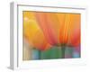 Closeup of Tulip.-Julianne Eggers-Framed Premium Photographic Print