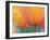 Closeup of Tulip.-Julianne Eggers-Framed Photographic Print