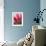 Closeup of Tulip.-Julianne Eggers-Framed Photographic Print displayed on a wall