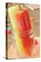 Closeup of Two Appetizing Ice Pops of Different Flavors in a Glass Jar-nito-Stretched Canvas