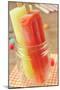 Closeup of Two Appetizing Ice Pops of Different Flavors in a Glass Jar-nito-Mounted Photographic Print