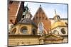 Closeup Wawel Cathedral in Kracow, Poland-De Visu-Mounted Photographic Print