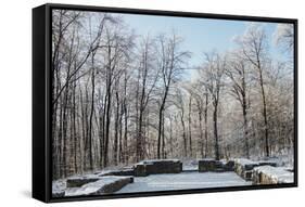 Closter ruin with snow at the Jostberg in Bielefeld in winter.-Nadja Jacke-Framed Stretched Canvas