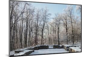 Closter ruin with snow at the Jostberg in Bielefeld in winter.-Nadja Jacke-Mounted Photographic Print