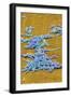 Clostridium Difficile Bacteria, SEM-David McCarthy-Framed Photographic Print