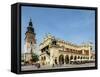 Cloth Hall and Town Hall Tower, Market Square, Cracow (Krakow), Lesser Poland Voivodeship, Poland-Karol Kozlowski-Framed Stretched Canvas