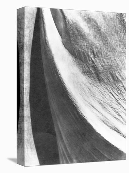 Cloth, Mexico, 1924-Tina Modotti-Stretched Canvas