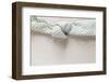 Cloth Napkin with Node on Wood-Petra Daisenberger-Framed Photographic Print