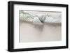 Cloth Napkin with Node on Wood-Petra Daisenberger-Framed Photographic Print