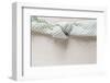 Cloth Napkin with Node on Wood-Petra Daisenberger-Framed Photographic Print