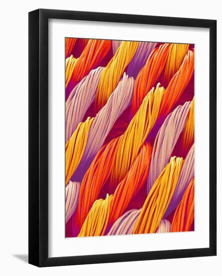 Cloth of a Brassiere Strap-Micro Discovery-Framed Photographic Print