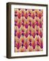 Cloth of women's underwear-Micro Discovery-Framed Photographic Print