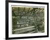 Cloth Weaving Room, Long Meadow Mill, 1923-English Photographer-Framed Photographic Print