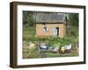 Clothes Drying on a Clothesline in Front of a House, Madagascar-null-Framed Photographic Print