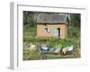 Clothes Drying on a Clothesline in Front of a House, Madagascar-null-Framed Photographic Print