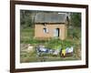 Clothes Drying on a Clothesline in Front of a House, Madagascar-null-Framed Photographic Print