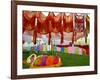 Clothes Hang on a Line to Dry after Being Washed on the Banks of the River Gomti-null-Framed Photographic Print