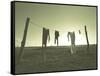 Clothes Hung Out to Dry at the Prairie Homestead-Stewart Cohen-Framed Stretched Canvas