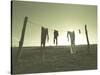 Clothes Hung Out to Dry at the Prairie Homestead-Stewart Cohen-Stretched Canvas
