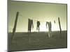 Clothes Hung Out to Dry at the Prairie Homestead-Stewart Cohen-Mounted Premium Photographic Print