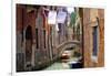 Clothes lines, Venice, UNESCO World Heritage Site, Veneto, Italy, Europe-Hans-Peter Merten-Framed Photographic Print