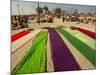 Clothes of Hindu Devotee are Laid out to Dry after Being Drenched During Ritualistic Holy Dips-Aman Sharma-Mounted Photographic Print