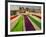 Clothes of Hindu Devotee are Laid out to Dry after Being Drenched During Ritualistic Holy Dips-Aman Sharma-Framed Photographic Print