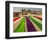 Clothes of Hindu Devotee are Laid out to Dry after Being Drenched During Ritualistic Holy Dips-Aman Sharma-Framed Photographic Print