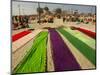 Clothes of Hindu Devotee are Laid out to Dry after Being Drenched During Ritualistic Holy Dips-Aman Sharma-Mounted Photographic Print