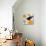 Clothesline 2-Lisa Kesler-Stretched Canvas displayed on a wall