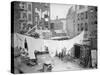 Clothesline and Tenements-null-Stretched Canvas