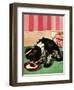 "Clothespinned Butch," February 10, 1945-Albert Staehle-Framed Giclee Print