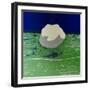 Cloud, 2013-Luke Elwes-Framed Giclee Print