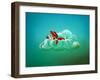 Cloud 9-Cindy Thornton-Framed Art Print