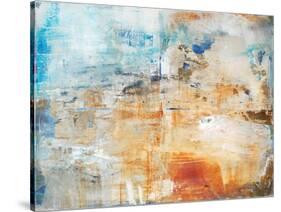 Cloud Burst-Michelle Oppenheimer-Stretched Canvas