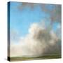 Cloud Cover 2-Suzanne Nicoll-Stretched Canvas