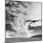 Cloud Covered Open Sky over Desert Landscape-Andreas Feininger-Mounted Premium Photographic Print