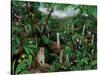 Cloud Forest Creatures-Betty Lou-Stretched Canvas