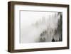 Cloud Forest, Glacier National Park, Montana, Usa-Russ Bishop-Framed Photographic Print